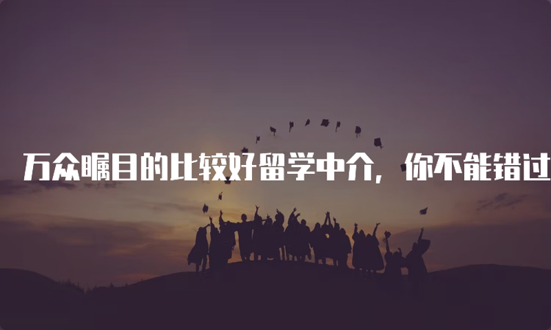 翻译服务税目归属：2026年的专业合规新格局