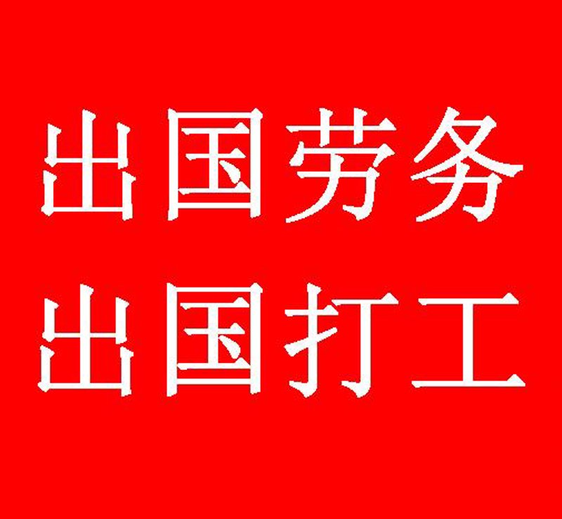 国际交流软件：提升教育与文化合作的新工具