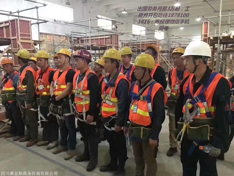 移民咨询：专业的咨询服务还是新兴市场